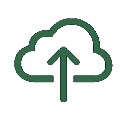 Custom Domains