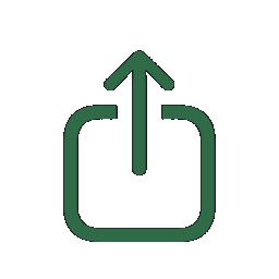 Canvas Reports